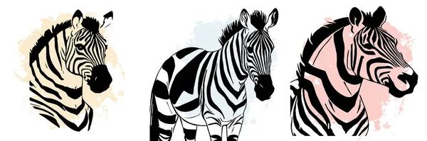 Black Zebra White Background Animal Line Art Logo Design Use — Stock Photo, Image