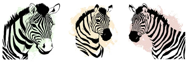 Black Zebra White Background Animal Line Art Logo Design Use — Stock Photo, Image