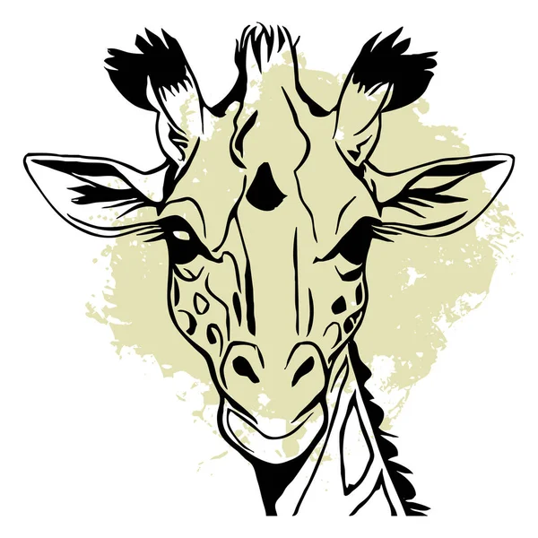 白色背景上的黑色长颈鹿 动物线条艺术 标志设计 用于图形 T恤衫印刷 纹身图案 — 图库照片