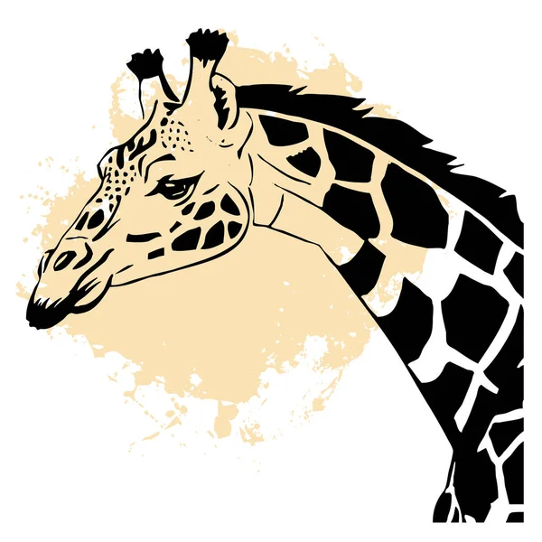 Μαύρη Καμηλοπάρδαλη Λευκό Φόντο Ζωική Τέχνη Σχεδιασμός Λογότυπου Για Χρήση — Φωτογραφία Αρχείου
