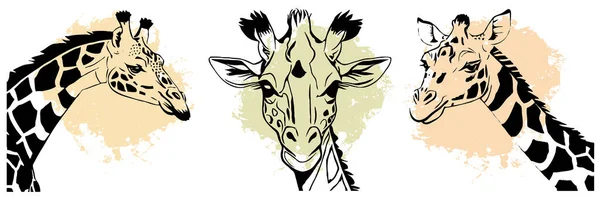 Černá Žirafa Bílém Pozadí Zvířecí Linie Návrh Loga Pro Použití — Stock fotografie