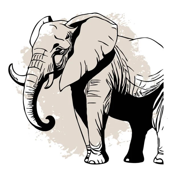 Black Elephant White Background Animal Line Art Logo Design Use — Stock Photo, Image