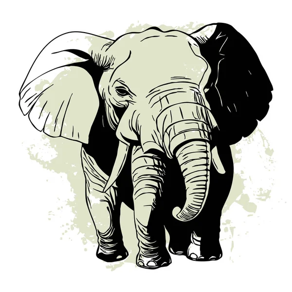 Μαύρος Ελέφαντας Λευκό Φόντο Ζωική Τέχνη Σχεδιασμός Λογότυπου Για Χρήση — Φωτογραφία Αρχείου
