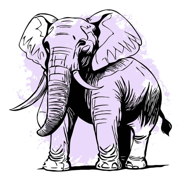 Black elephant on a white background. Animal line art. Logo design, for use in graphics. Print for T-shirts, pattern for tattoos.