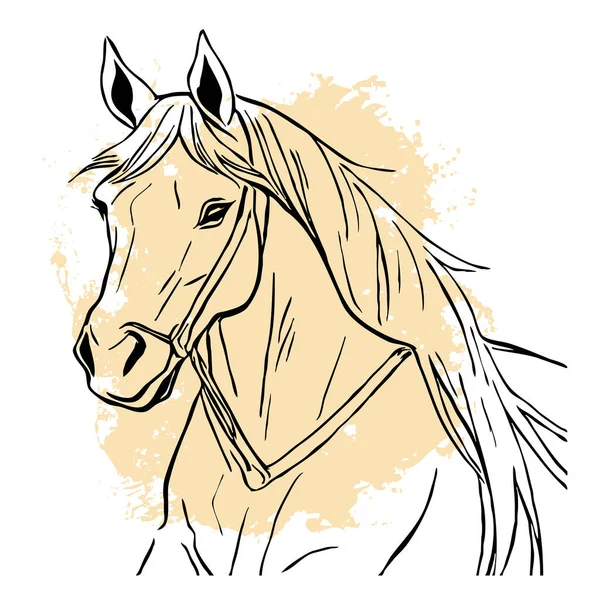 Schwarzes Pferd Auf Weißem Hintergrund Tierische Leinenkunst Logo Design Für — Stockfoto