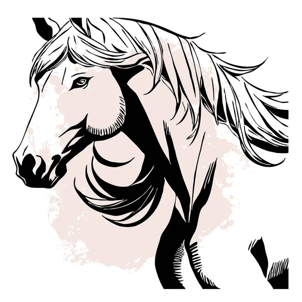 Beyaz Arka Planda Siyah Hayvan Çizgisi Sanatı Logo Tasarımı Grafiklerde — Stok fotoğraf