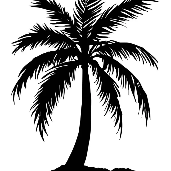 Palmiye Ağacı Tasviri Beyaz Arka Planda Siyah Tropikal Ağaç — Stok fotoğraf