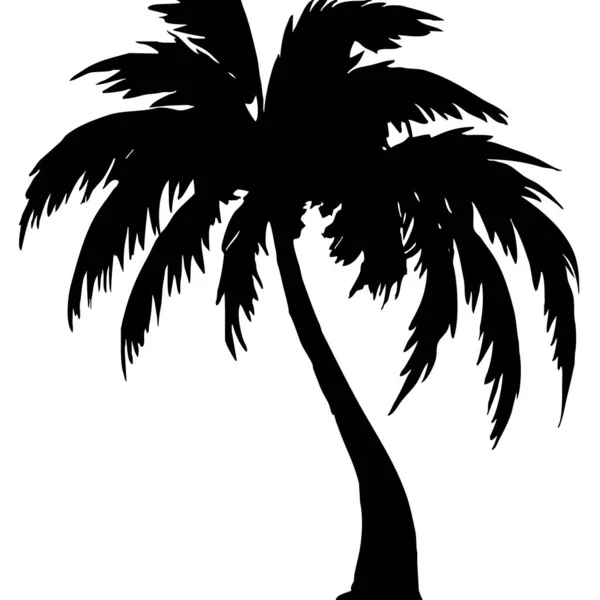 Εικονογράφηση Φοίνικα Μαύρο Τροπικό Δέντρο Λευκό Φόντο — Φωτογραφία Αρχείου