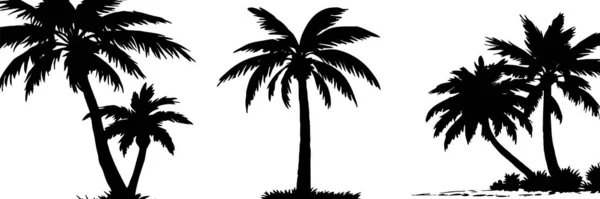 ヤシの木のイラスト 白い背景に黒い熱帯の木 — ストック写真