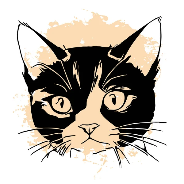 白色背景上的黑猫 动物线条艺术 标志设计 用于图形设计 — 图库照片
