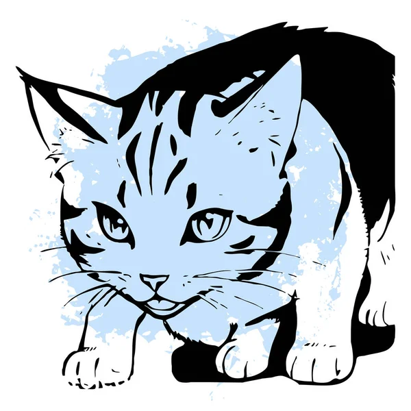 Μαύρη Γάτα Λευκό Φόντο Ζωική Τέχνη Σχεδιασμός Λογότυπου Για Χρήση — Φωτογραφία Αρχείου