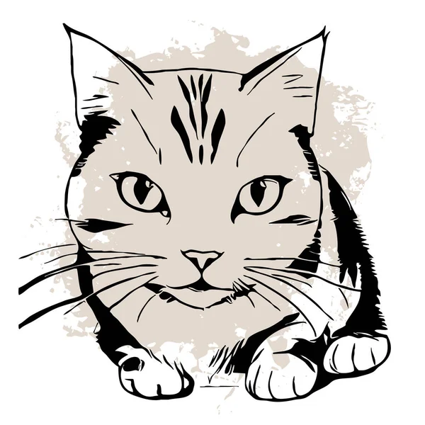 Μαύρη Γάτα Λευκό Φόντο Ζωική Τέχνη Σχεδιασμός Λογότυπου Για Χρήση — Φωτογραφία Αρχείου