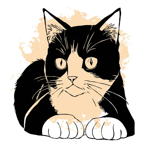 Black cat on a white background. Animal line art. Logo design, for use in graphics.