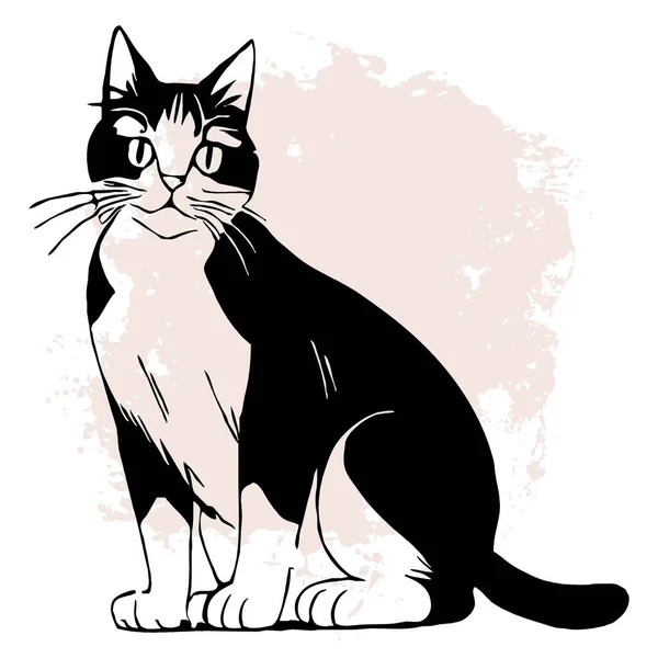 Gato Preto Sobre Fundo Branco Arte Linha Animal Design Logotipo — Fotografia de Stock