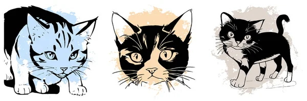 Black cat on a white background. Animal line art. Logo design, for use in graphics.