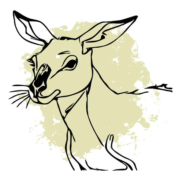 Schwarzes Känguru Auf Weißem Hintergrund Tiere Säumen Die Kunst Logo — Stockfoto