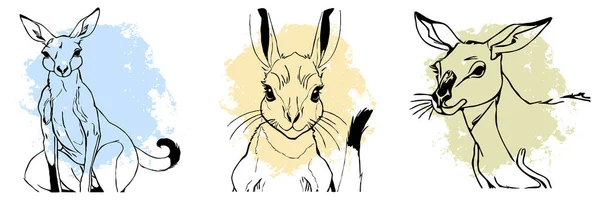 Black Kangaroo White Background Animals Line Art Logo Design Use — Stock Photo, Image