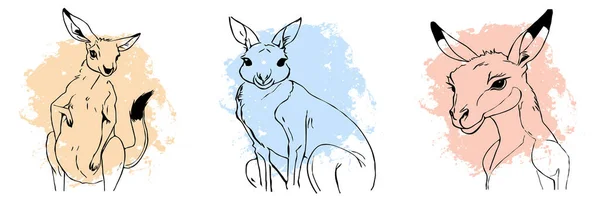 Zwarte Kangoeroe Een Witte Achtergrond Dieren Lijn Kunst Logo Ontwerp — Stockfoto