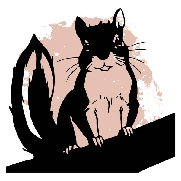 배경에 다람쥐 그래픽에서 사용하기위한 디자인 티셔츠 디자인 — 스톡 사진