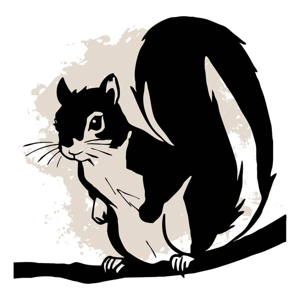 Μαύρος Σκίουρος Λευκό Φόντο Ζώα Είναι Τέχνη Σχεδιασμός Λογότυπου Για — Φωτογραφία Αρχείου
