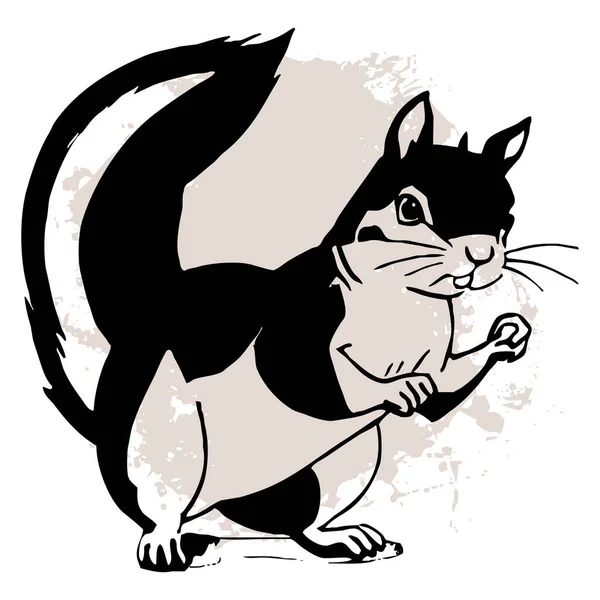 白色背景上的黑色松鼠 动物线艺术 用于图形的标志设计 T恤衫印花纹身设计 — 图库照片