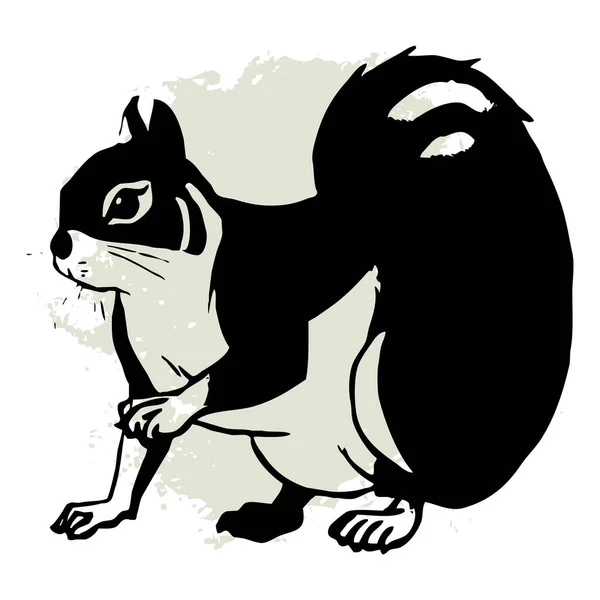Esquilo Preto Sobre Fundo Branco Animais Alinham Arte Design Logotipo — Fotografia de Stock