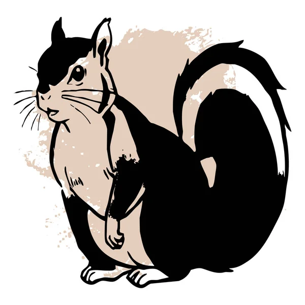 배경에 다람쥐 그래픽에서 사용하기위한 디자인 티셔츠 디자인 — 스톡 사진