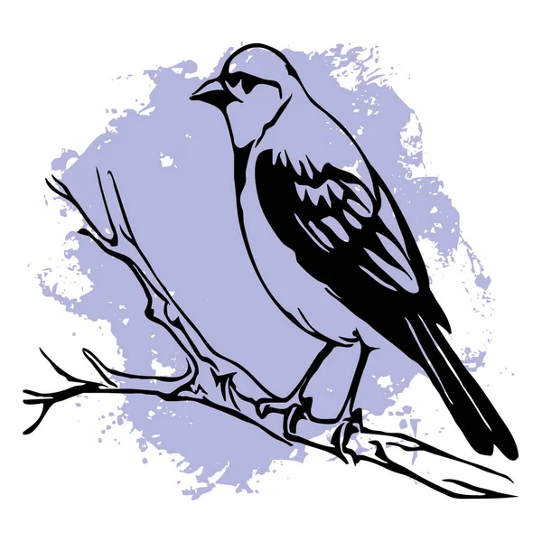 Oiseau Noir Sur Fond Blanc Animaux Ligne Art Conception Logo — Photo