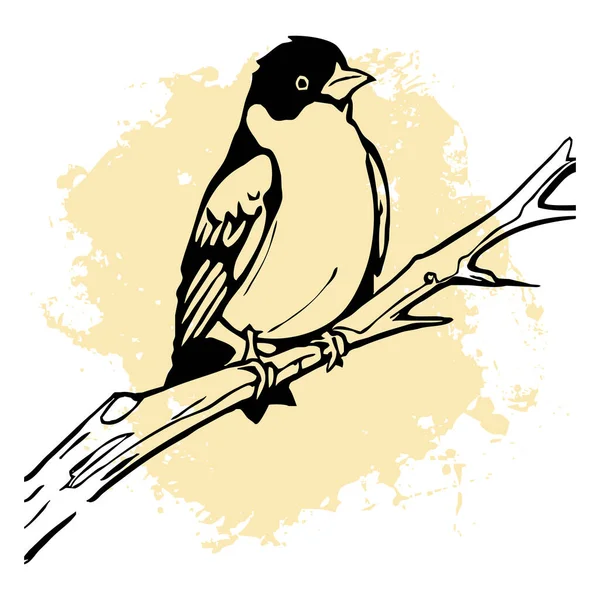 Czarny Ptak Białym Tle Sztuka Linii Zwierząt Projekt Logo Stosowania — Zdjęcie stockowe