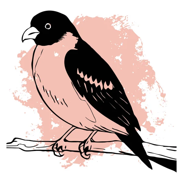 黒い鳥が白い背景に 動物のラインアート グラフィックで使用するためのロゴデザイン Tシャツプリント タトゥーデザイン — ストック写真