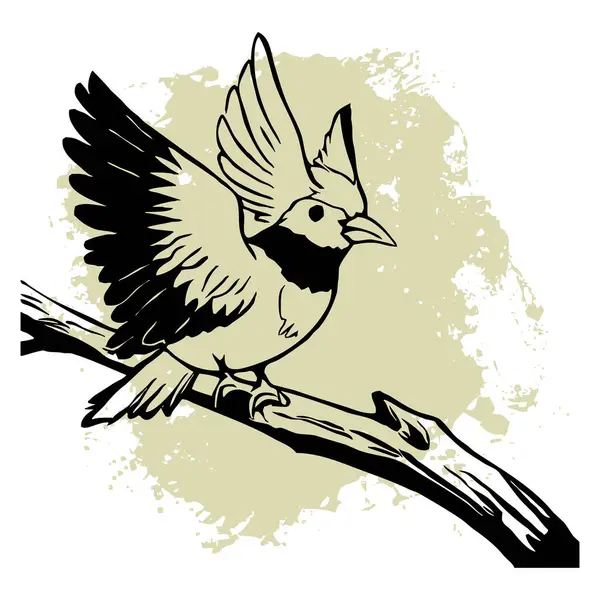 Pájaro Negro Sobre Fondo Blanco Animales Línea Arte Diseño Logotipo — Foto de Stock