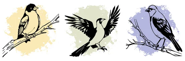 Black Bird White Background Animals Line Art Logo Design Use — Stock Photo, Image
