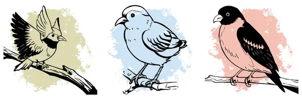 白色背景上的黑鸟 动物线艺术 用于图形的标志设计 T恤衫印花纹身设计 — 图库照片