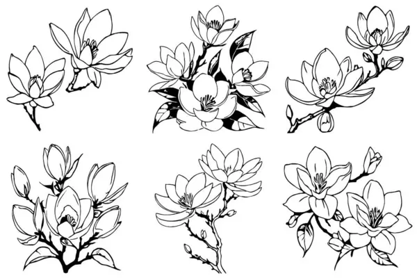 Magnolienblüte Schwarz Weiße Linienkunst Druck Für Shirts Design Für Tätowierungen — Stockfoto