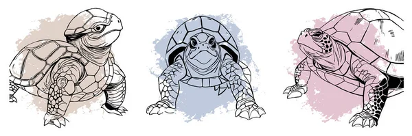 Sköldpadda Svart Och Vit Linje Konst Logotypdesign För Användning Grafik — Stockfoto