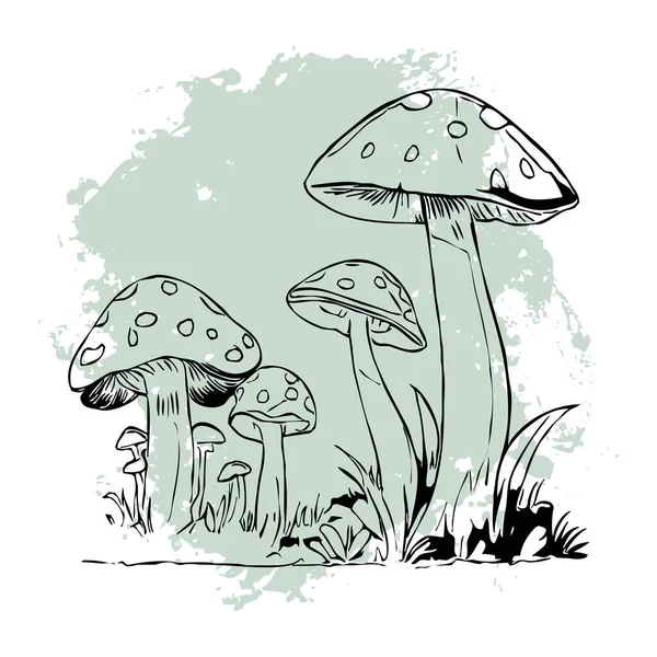 Cogumelos Arte Linha Preta Branca Design Logotipo Para Uso Gráficos — Fotografia de Stock