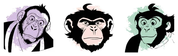 원숭이 블랙과 화이트 그래픽에서 사용하기위한 디자인 티셔츠 디자인 — 스톡 사진