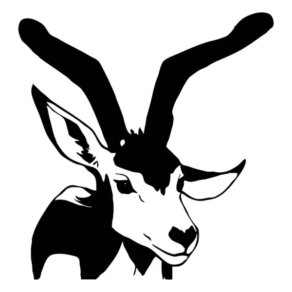 Ilustracja Zwierzęcia Czarna Gazela Białym Tle — Zdjęcie stockowe