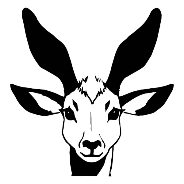 Ilustração Animal Gazela Preta Sobre Fundo Branco — Fotografia de Stock