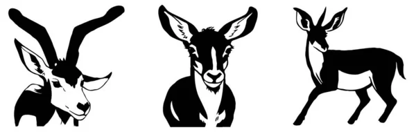 Ilustração Animal Gazela Preta Sobre Fundo Branco — Fotografia de Stock