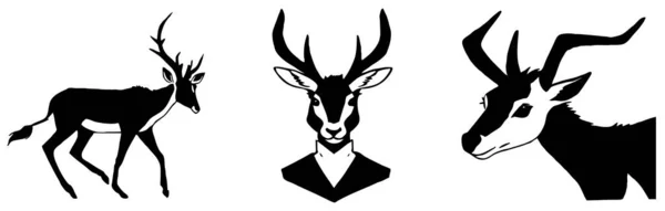 动物图解 白色背景的黑色羚羊 — 图库照片