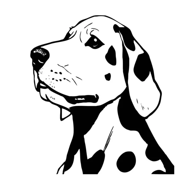 达尔马提亚犬黑白线条艺术 用于图形的标志设计 T恤衫印花纹身设计 — 图库照片