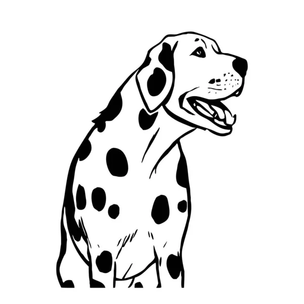 Далматинская Собака Черно Белая Линия Искусства Логотип Использования Графике Отпечаток — стоковое фото