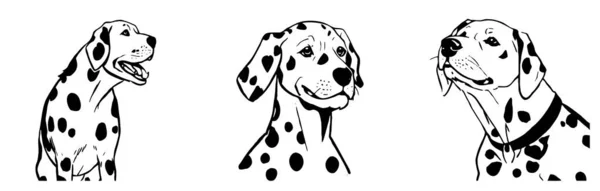 Dalmatisk Hund Svart Och Vit Linje Konst Logotypdesign För Användning — Stockfoto