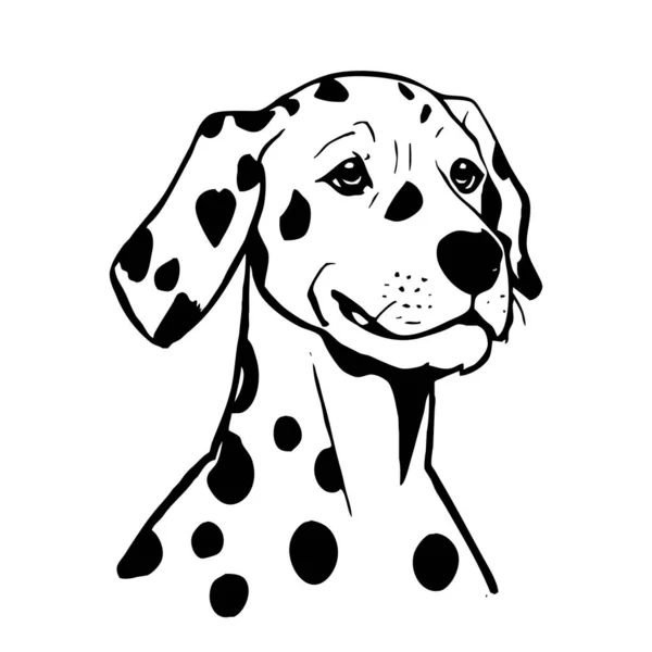 Anjing Dalmatian Seni Garis Hitam Dan Putih Logo Desain Untuk — Stok Foto