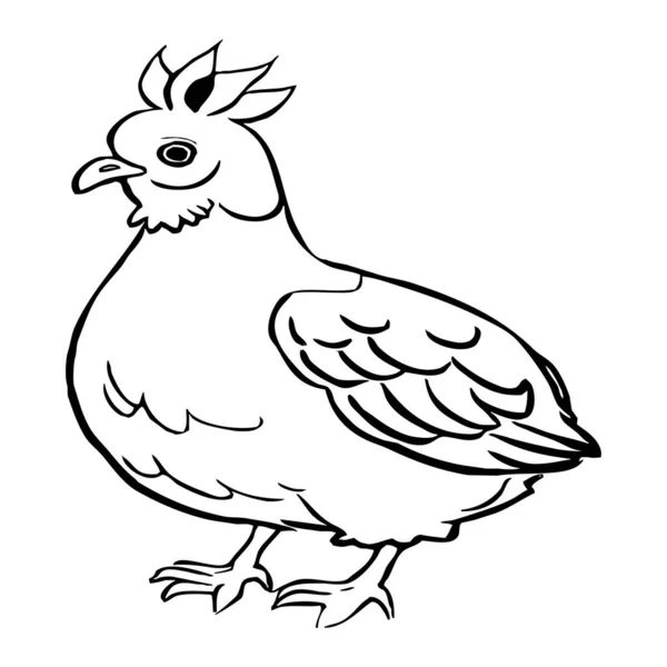 Курица Черно Белая Линия Искусства Логотип Использования Графике Отпечаток Футболки — стоковое фото