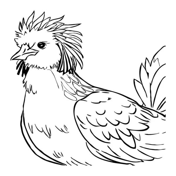 Tavuk Siyah Beyaz Çizgi Sanatı Grafiklerde Kullanmak Için Logo Tasarımı — Stok fotoğraf