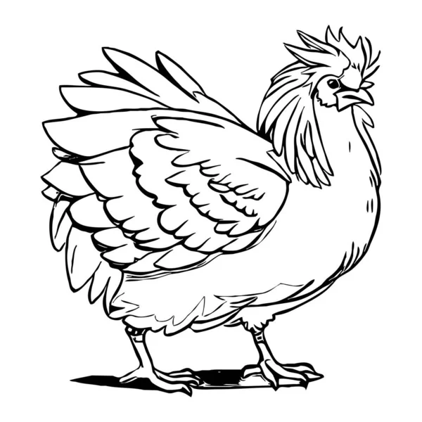 Kurczak Czarno Biała Linia Sztuki Projekt Logo Stosowania Grafice Odcisk — Zdjęcie stockowe