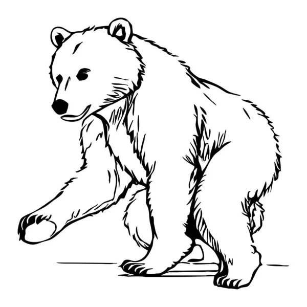 곰이요 검은색과 그래픽 그래픽에서 사용하기위한 디자인 티셔츠 디자인 — 스톡 사진