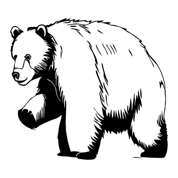 Niedźwiedź Czarno Biała Grafika Projekt Logo Stosowania Grafice Odcisk Koszulki — Zdjęcie stockowe